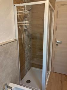 a shower with a glass door in a bathroom at La Petite Marguerite in Bionaz