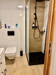 a bathroom with a shower and a toilet at Prociówka in Ciche +27 photos