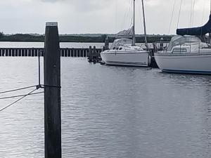 two boats are docked at a dock in the water at Delight in Nagele