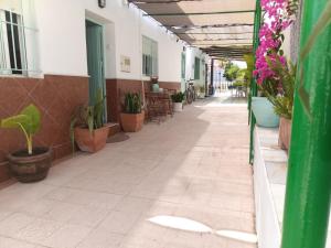 um corredor vazio de um edifício com vasos de plantas em Villasultana 2 em Chipiona mais 15 fotografias