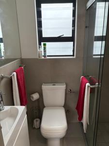 a bathroom with a toilet and a sink and a window at Studio Apartment in Cape Town in Cape Town