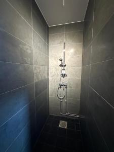 a bathroom with a shower with a toilet in it at Genuint hus i Höganäs hamn in Höganäs +28 photos