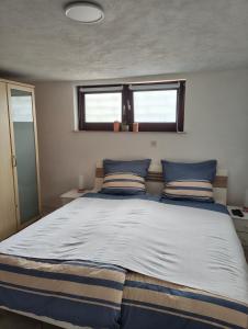 een slaapkamer met een groot bed met blauwe kussens bij Ferienunterkunft in Fuldabrück +6 foto's