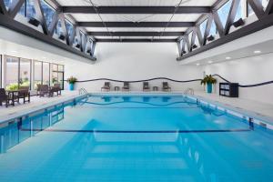 a large pool with blue water in a building at Delta Hotels by Marriott Ottawa City Centre in Ottawa