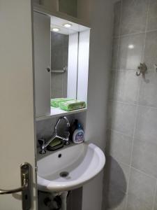 a bathroom with a sink and a mirror and a shower at Small and practical No2 in Limne