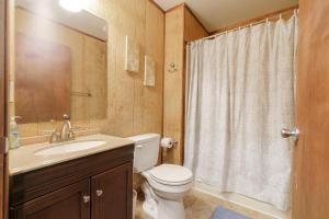 une salle de bain avec toilettes, lavabo et douche dans l'établissement Mountain Overlook Supercabin, à Rileyville 28 autres photos