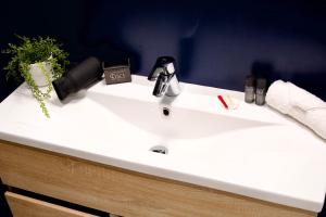 a bathroom sink with a faucet on top of it at Le Familia in Guer +31 photos