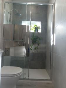 a bathroom with a shower with a toilet and a sink at Villasultana 1 in Chipiona +16 photos