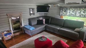 a living room with a couch and a tv at Cabin Kiiminkiriver in Oulu