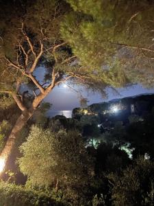 Phong cảnh thiên nhiên gần biệt thự