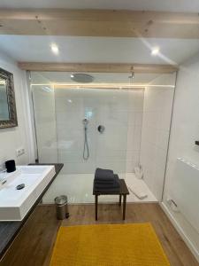 a bathroom with a shower and a sink at Haus Engelbert in Höchheim +58 photos
