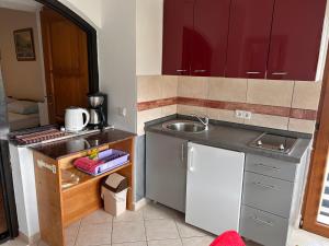 a small kitchen with a sink and a white refrigerator at Vila Tesmija in Baška +69 photos