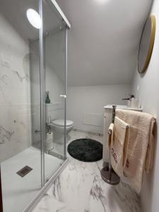 a bathroom with a glass shower and a toilet at Vivenda do Calvario in Alvarães