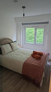 a bedroom with a large bed with a window at Sea view two bedroom apartment in Hastings