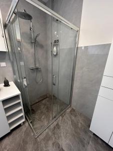 コニツにあるApartmani SEEBLICKの浴室のガラス扉付きシャワー +50枚の写真