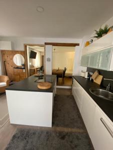Apartment mit Sauna im Wienerwald - Mödling的厨房或小厨房