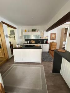 Apartment mit Sauna im Wienerwald - Mödling的厨房或小厨房