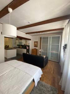 默德林Apartment mit Sauna im Wienerwald - Mödling的一间带床的卧室和一间客厅