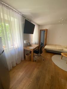 Apartment mit Sauna im Wienerwald - Mödling的电视和/或娱乐中心