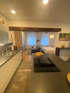 Apartment mit Sauna im Wienerwald - Mödling的厨房或小厨房