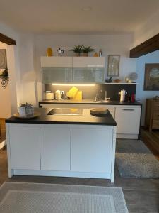 Apartment mit Sauna im Wienerwald - Mödling的厨房或小厨房