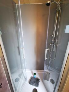 a shower with a glass door in a bathroom at Tiny Guesthouse Herdt Euerbach in Euerbach