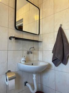 a bathroom with a white sink and a mirror at Taida in Donji Štoj +20 photos
