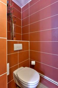 a bathroom with a toilet with brown tiles at Le Clos de Léa Wifi Metz Centre Ville in Metz