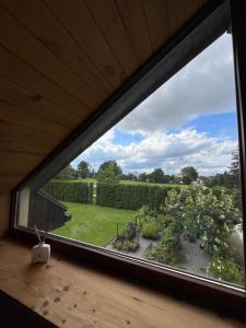 a window in a house looking out at a garden at MūsMājas in Talsi