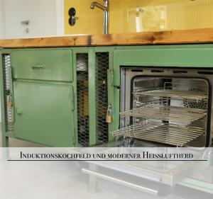 un four vert avec une grille à vaisselle à l'intérieur dans l'établissement Naturferienhaus Mittlere Elbe, à Groß Rosenburg