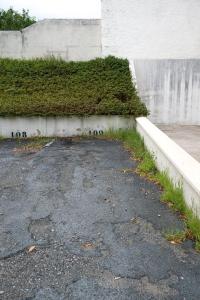 a bunch of birds sitting on the side of a wall at Love Nest - Bergerac Center in Bergerac