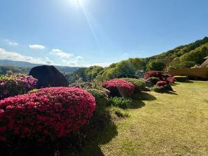 Φυσικό τοπίο κοντά σε αυτό το ryokan +82 φωτογραφίες
