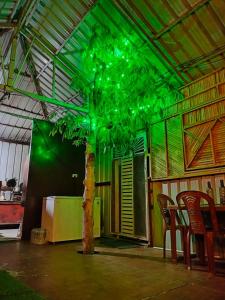 a room with a green ceiling with a tree and chairs at Namaste Sari in Chopta