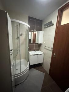 un baño con ducha y lavabo en Apartment Milky, en Mostar