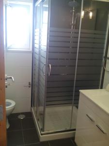 シントラにあるCasa da Camélia - Sintraのバスルーム(ガラス張りのシャワー、トイレ付)