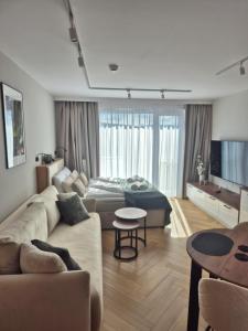 Μια τηλεόραση ή/και κέντρο ψυχαγωγίας στο Apartamenty Marzeń Świeradów Zdrój