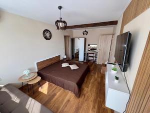 Un dormitorio con una cama y una sala de estar. en Historic Center Apartment, en Ruse