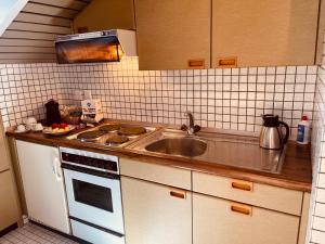 a kitchen with a sink and a stove at Mendrisio Deluxe Apartament Bagno Privato Esterno in Mendrisio