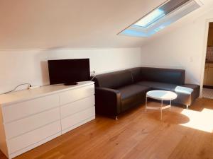 a living room with a couch and a tv at Mendrisio Deluxe Apartament Bagno Privato Esterno in Mendrisio