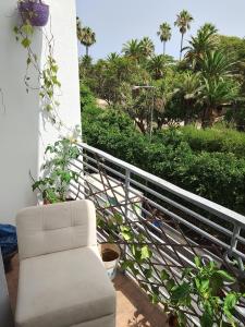a white chair sitting on a balcony with palm trees at B&B Séjour chez l'habitant in Rabat