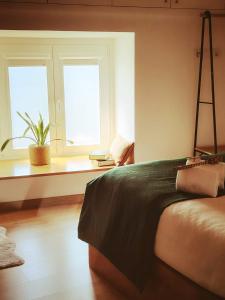 a bedroom with a bed and two windows at CASAS DA RUA NOVA in Alijó