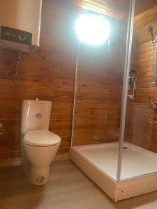 a bathroom with a toilet and a shower at Nefesurla Bungalov 5 in Urla