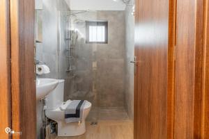 a bathroom with a shower and a toilet and a sink at Myrtali's - Tzoumerka Mountain View Retreat 
