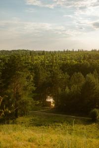 a house in the middle of a field of trees at Глемпінг Botan in Malaya Bugayevka +13 photos