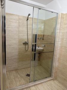 a shower stall with a sink in a bathroom at Pensiunea Bianca in Murighiol +40 photos