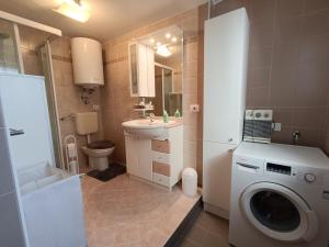a bathroom with a washing machine and a sink at Coldemies apartment in Alleghe