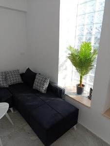 Gallery image of La Marsa charming bright house in Dar Tahar Zaouch