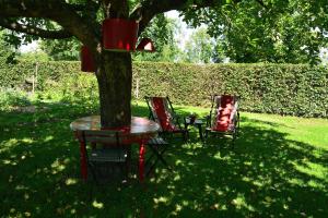 two chairs and a table under a tree at Cabane du hibou in Beauraing +16 photos