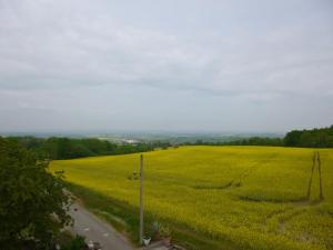 Fotografie z fotogalerie ubytování Pension Clajus v destinaci Výmar