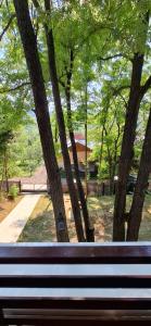 a park bench in a park with trees at Pensiunea Geo in Lunca Mare